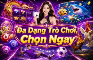 video4real game categories
